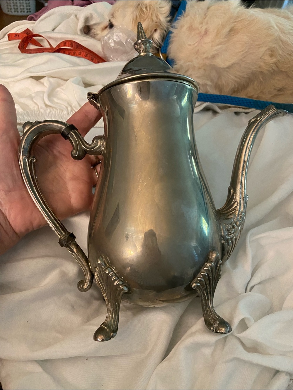 Silver-plate Decorative Coffee Tea Pot - Elegant Home Kitchen Serving Piece - Picture 1 of 5